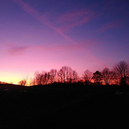 Agroturystyka U Puchatka Villa Rebiszow Esterno foto